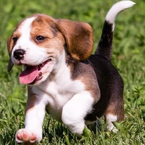 Meet your Posher, Brooklyn